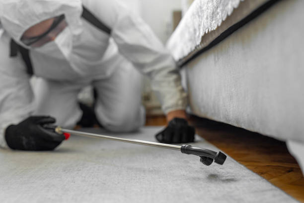 Professional Pest Control technician working in Clarke County County, VA